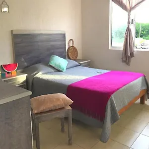  Apartamento Pitaya Playa Vacacional